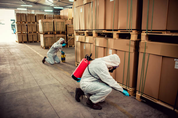 Pest Prevention Services in Fanwood, NJ