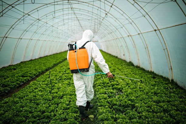 Best Commercial Pest Control Services  in Fanwood, NJ