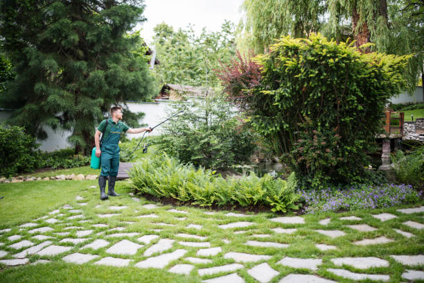 Best Affordable Pest Control Services  in Fanwood, NJ