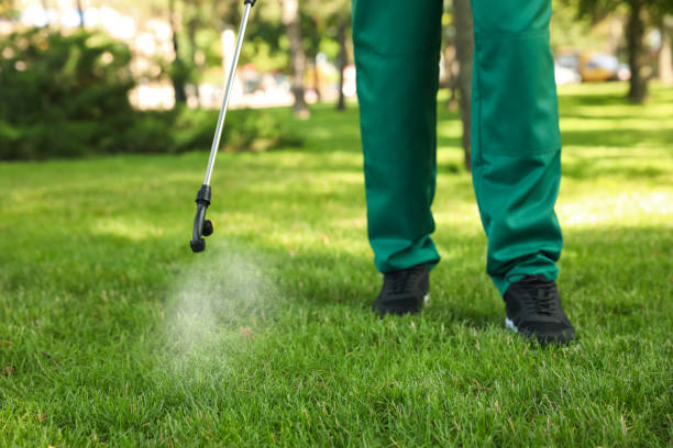 Best Mosquito Control Services  in Fanwood, NJ