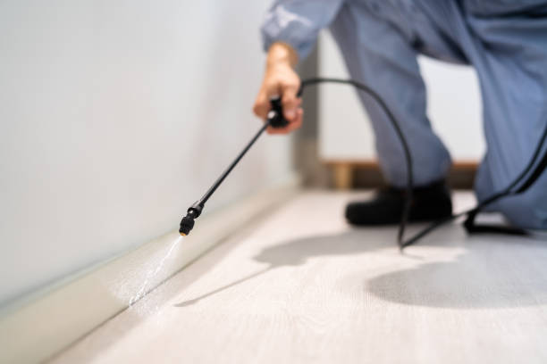 Best Residential Pest Control  in Fanwood, NJ