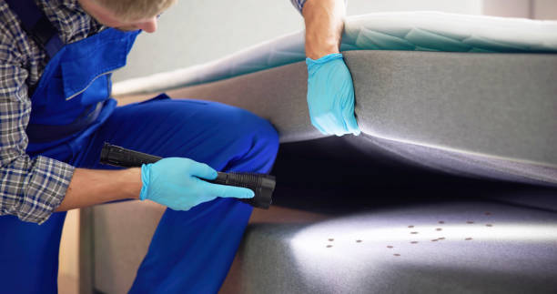 Best Flea Control Services  in Fanwood, NJ