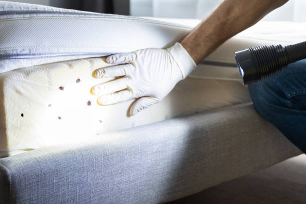 Best Pest Inspection Near Me  in Fanwood, NJ