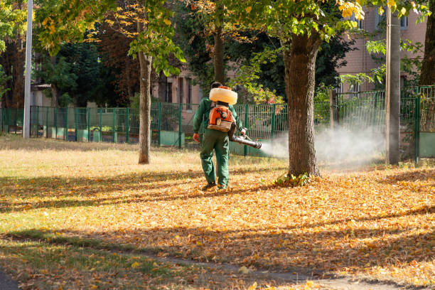 Best Emergency Pest Control  in Fanwood, NJ